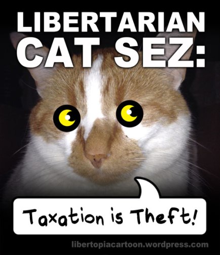 taxation is theft, cat meme, cat, libertarian, libtarianism, meme, voluntarism