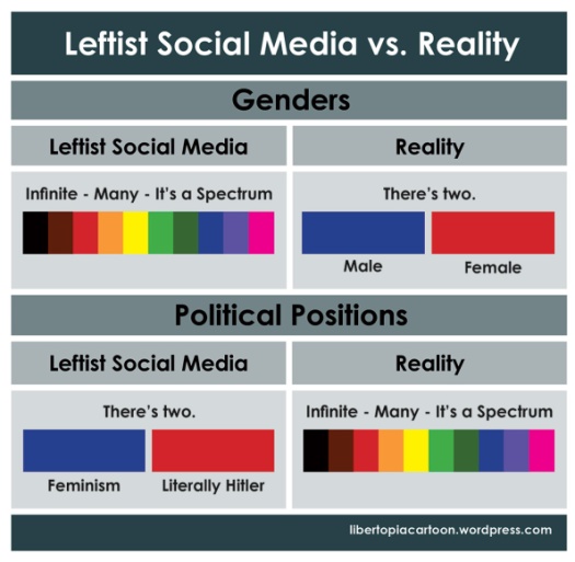 infographic, leftism, social media, gender identity, politics, political beliefs, feminism, gender, graphic design